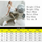 Sporty Bliss Fitness Jumpsuit